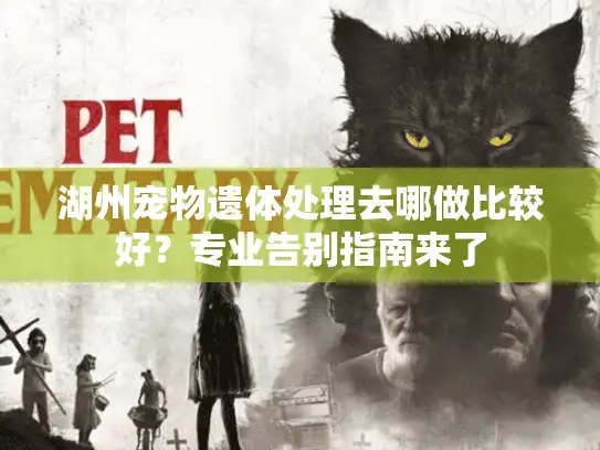湖州宠物遗体处理去哪做比较好？专业告别指南来了