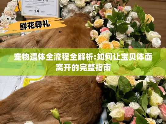 宠物遗体全流程全解析:如何让宝贝体面离开的完整指南