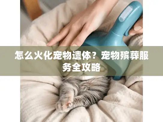 怎么火化宠物遗体？宠物殡葬服务全攻略