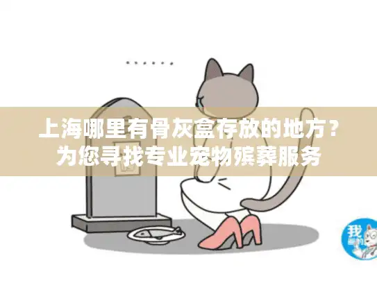 上海哪里有骨灰盒存放的地方？为您寻找专业宠物殡葬服务