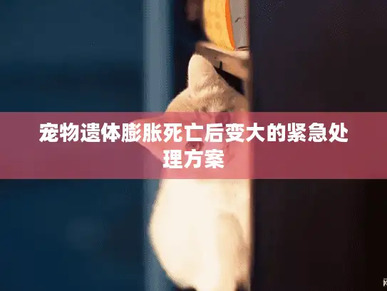 宠物遗体膨胀死亡后变大的紧急处理方案