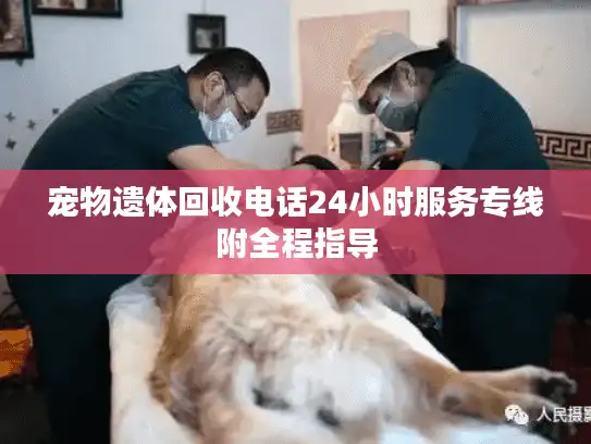 宠物遗体回收电话24小时服务专线附全程指导