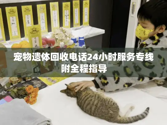 宠物遗体回收电话24小时服务专线附全程指导