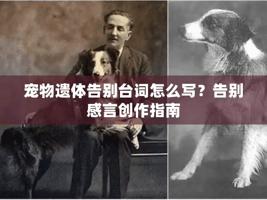宠物遗体告别台词怎么写？告别感言创作指南
