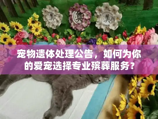 宠物遗体处理公告，如何为你的爱宠选择专业殡葬服务？