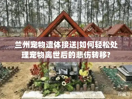 兰州宠物遗体接送|如何轻松处理宠物离世后的悲伤转移?
