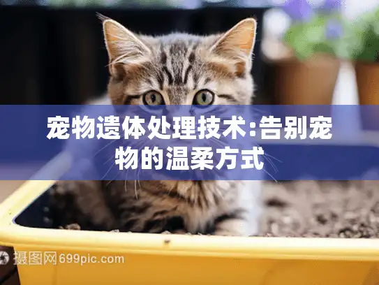 宠物遗体处理技术:告别宠物的温柔方式