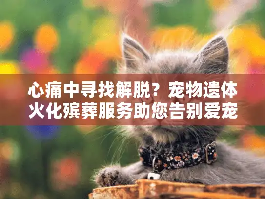 心痛中寻找解脱？宠物遗体火化殡葬服务助您告别爱宠
