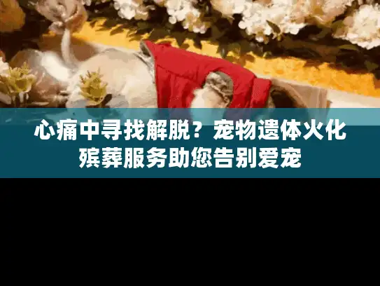 心痛中寻找解脱？宠物遗体火化殡葬服务助您告别爱宠