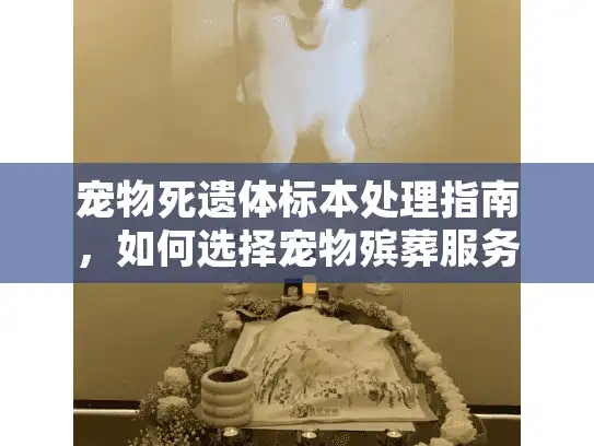 宠物死遗体标本处理指南，如何选择宠物殡葬服务和标本制作？