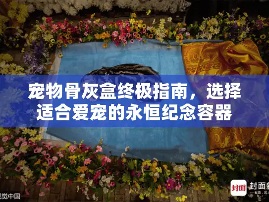 宠物骨灰盒终极指南，选择适合爱宠的永恒纪念容器
