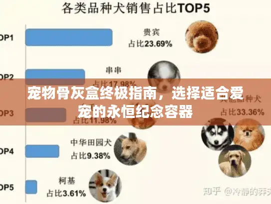 宠物骨灰盒终极指南，选择适合爱宠的永恒纪念容器