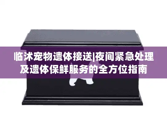 临沭宠物遗体接送|夜间紧急处理及遗体保鲜服务的全方位指南