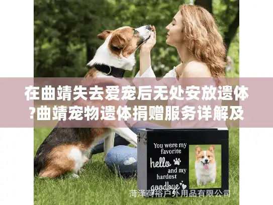 在曲靖失去爱宠后无处安放遗体?曲靖宠物遗体捐赠服务详解及爱心指南
