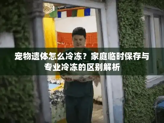 宠物遗体怎么冷冻？家庭临时保存与专业冷冻的区别解析