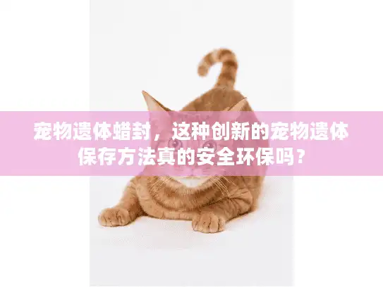 宠物遗体蜡封，这种创新的宠物遗体保存方法真的安全环保吗？