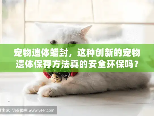 宠物遗体蜡封，这种创新的宠物遗体保存方法真的安全环保吗？