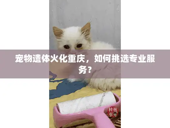 宠物遗体火化重庆，如何挑选专业服务？