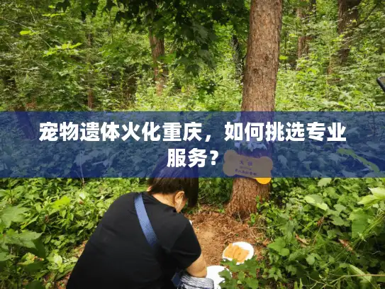宠物遗体火化重庆，如何挑选专业服务？