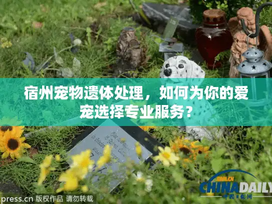 宿州宠物遗体处理，如何为你的爱宠选择专业服务？