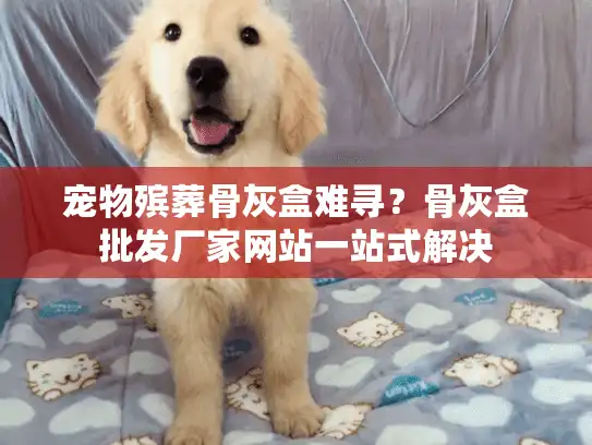 宠物殡葬骨灰盒难寻？骨灰盒批发厂家网站一站式解决
