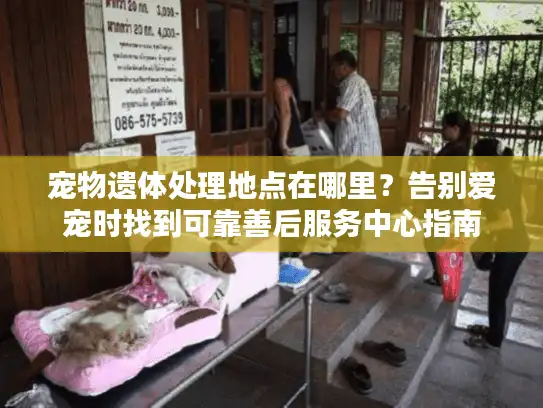 宠物遗体处理地点在哪里？告别爱宠时找到可靠善后服务中心指南