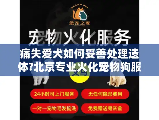 痛失爱犬如何妥善处理遗体?北京专业火化宠物狗服务指南
