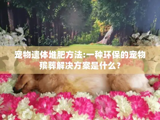 宠物遗体堆肥方法:一种环保的宠物殡葬解决方案是什么？
