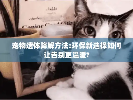 宠物遗体降解方法:环保新选择如何让告别更温暖?