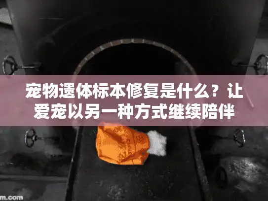 宠物遗体标本修复是什么？让爱宠以另一种方式继续陪伴
