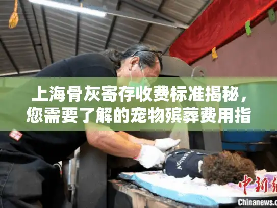 上海骨灰寄存收费标准揭秘，您需要了解的宠物殡葬费用指南