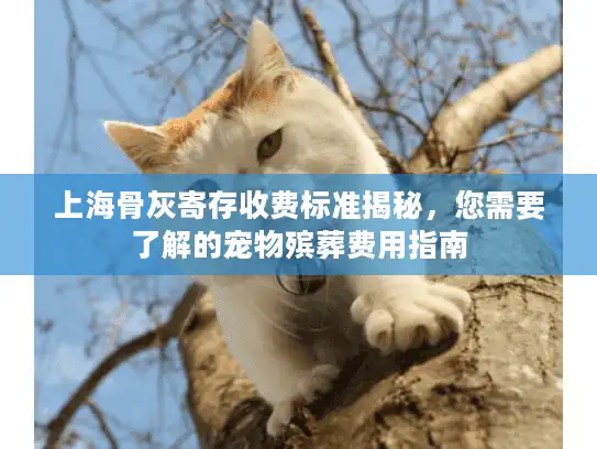 上海骨灰寄存收费标准揭秘，您需要了解的宠物殡葬费用指南