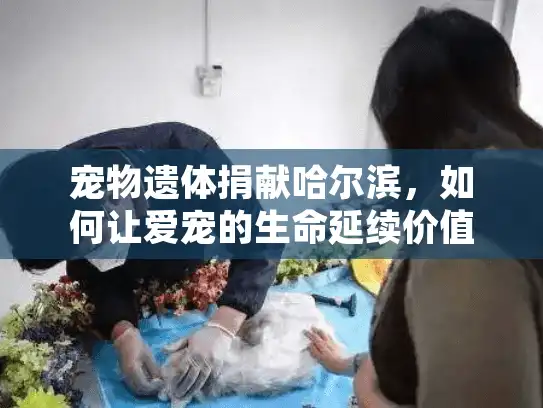 宠物遗体捐献哈尔滨，如何让爱宠的生命延续价值？
