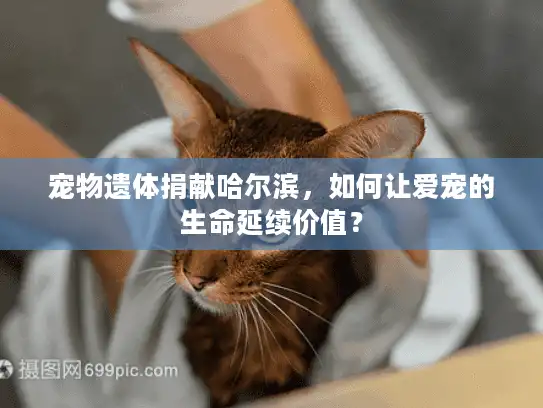 宠物遗体捐献哈尔滨，如何让爱宠的生命延续价值？