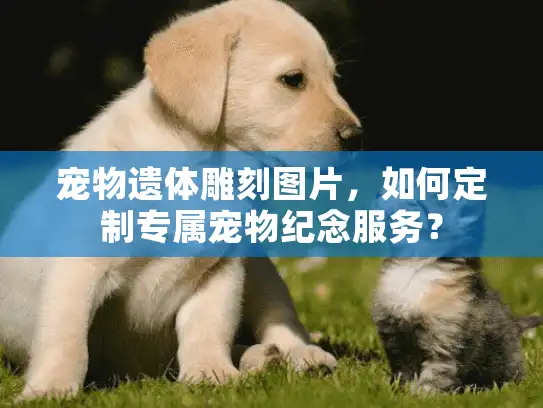 宠物遗体雕刻图片，如何定制专属宠物纪念服务？