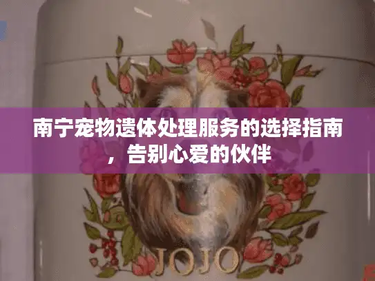 南宁宠物遗体处理服务的选择指南，告别心爱的伙伴
