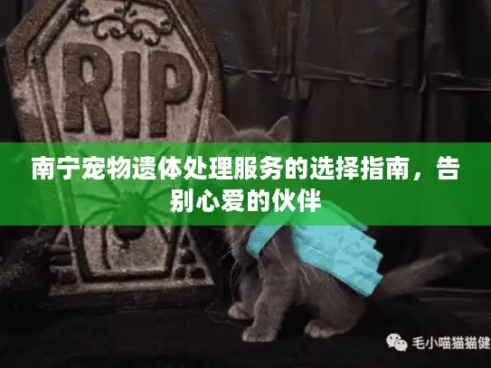 南宁宠物遗体处理服务的选择指南，告别心爱的伙伴