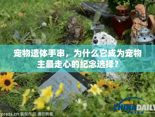 宠物遗体手串，为什么它成为宠物主最走心的纪念选择？