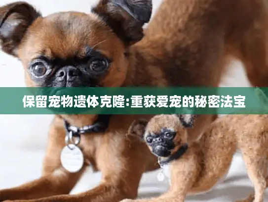保留宠物遗体克隆:重获爱宠的秘密法宝