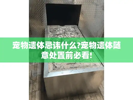 宠物遗体忌讳什么?宠物遗体随意处置前必看!