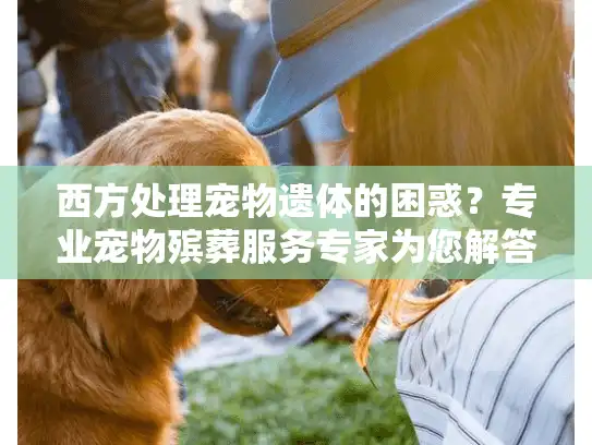 西方处理宠物遗体的困惑？专业宠物殡葬服务专家为您解答
