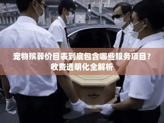 宠物殡葬价目表到底包含哪些服务项目？收费透明化全解析