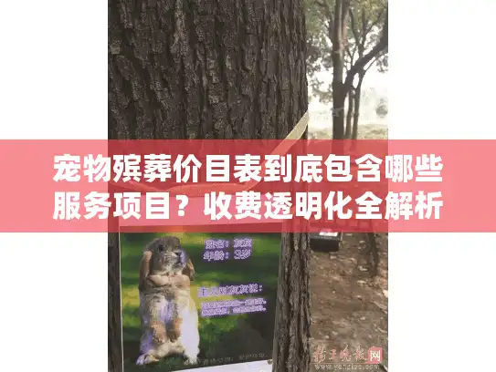 宠物殡葬价目表到底包含哪些服务项目？收费透明化全解析
