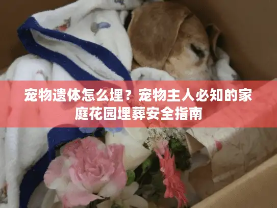宠物遗体怎么埋？宠物主人必知的家庭花园埋葬安全指南