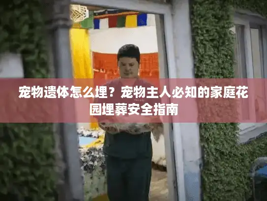 宠物遗体怎么埋？宠物主人必知的家庭花园埋葬安全指南