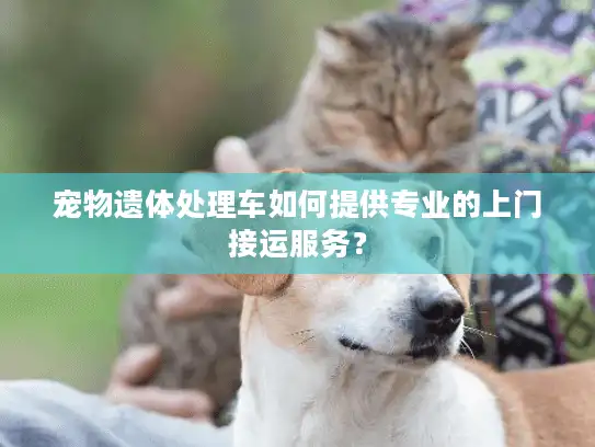 宠物遗体处理车如何提供专业的上门接运服务？