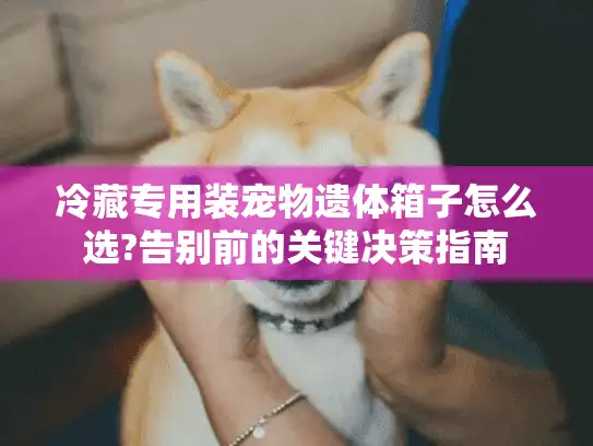 冷藏专用装宠物遗体箱子怎么选?告别前的关键决策指南
