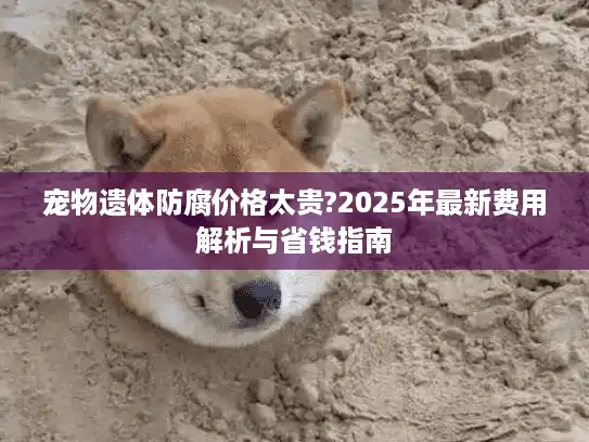 宠物遗体防腐价格太贵?2025年最新费用解析与省钱指南