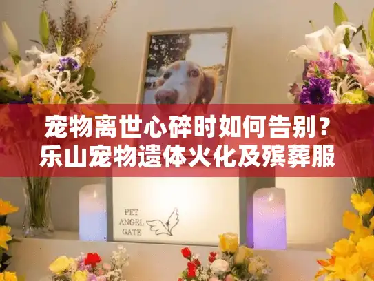 宠物离世心碎时如何告别？乐山宠物遗体火化及殡葬服务全解析