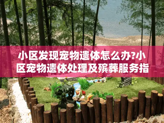 小区发现宠物遗体怎么办?小区宠物遗体处理及殡葬服务指南